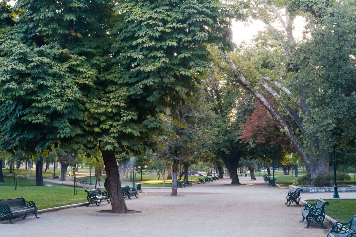 The Singular Santiago Park